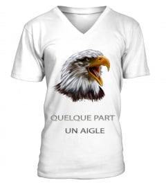 Design Aigle Tshirt Col V Unisex