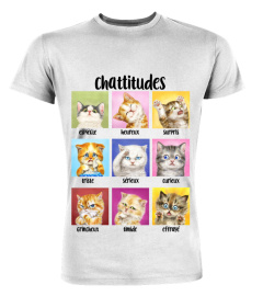 Cattitudes Emotion Status Cat Lovers