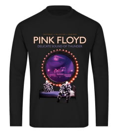 Pink Floyd Delicate Sound Of Thunder T-Shirt