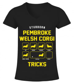 Stubborn Pembroke welsh Corgi Tricks