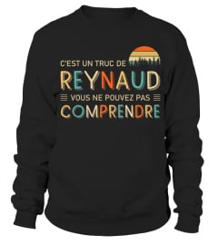 reynaud-ln-fr4-b56