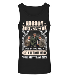 NOBODY IS PERFECT BUT IF YOU ARE A LAST OF THE SUMMER WINE FAN YOU'RE PRETTY DAMN CLOSE