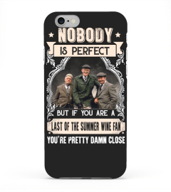 NOBODY IS PERFECT BUT IF YOU ARE A LAST OF THE SUMMER WINE FAN YOU'RE PRETTY DAMN CLOSE