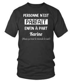 Personne n'est parfait enfin à part Karine ( mais ça tout le monde le sait ) - Edition Limitée