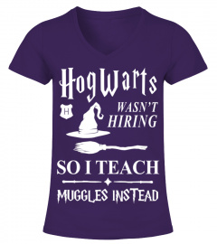 HOGWARTS TEACHER