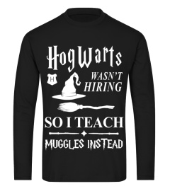 HOGWARTS TEACHER