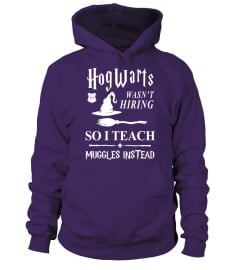 HOGWARTS TEACHER