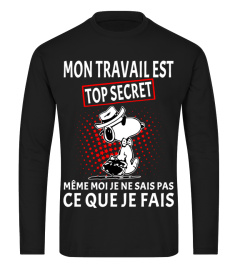 MON TRAVAIL EST TOP SECRET MEME MOI JE NE SAIS PAS CE QUE JE FAIS