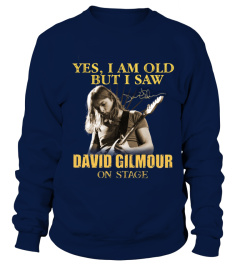 David Gilmour on stage