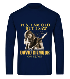 David Gilmour on stage