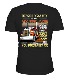 Trucker - Before you try to hurt my feelings, please keep in mind, I don't have any and you probably do.