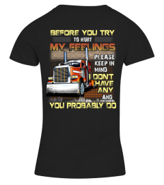 Trucker - Before you try to hurt my feelings, please keep in mind, I don't have any and you probably do.