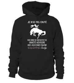CHEVAL, JE N'AI PAS CHUTÉ