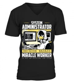 System administrator aka miracle worker