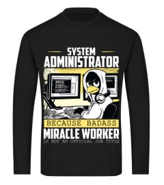 System administrator aka miracle worker