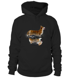 Pembroke Welsh Corgi