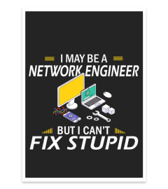 I may be a network engineer but i can't fix stupid