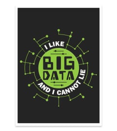 I like big data and i cannot lie