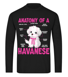 a funny anatomy of a havanese   dog owners