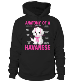 a funny anatomy of a havanese   dog owners