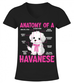 a funny anatomy of a havanese   dog owners