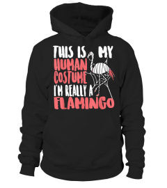 My Human Costume Im Really A Flamingo Mummy Cute Halloween T-Shirt