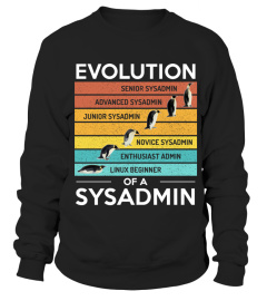 Evolution of a SysAdmin