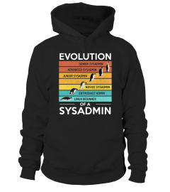 Evolution of a SysAdmin