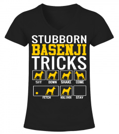 Stubborn Basenji Tricks