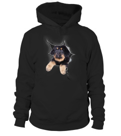 Tibetan Mastiff 3D