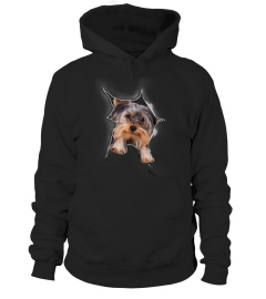 Yorkshire Terrier 3D