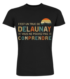 delaunay-fra1m22-12