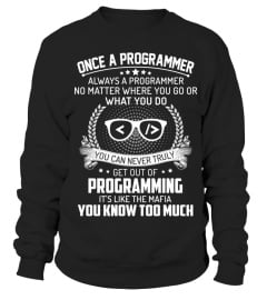 One a programmer always a programmer