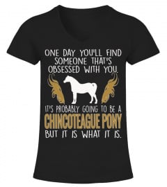It's Probably Going To Be A Chincoteague pony