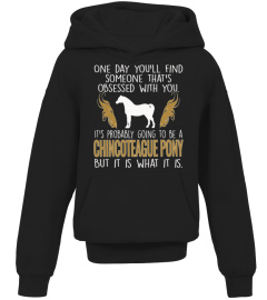 It's Probably Going To Be A Chincoteague pony