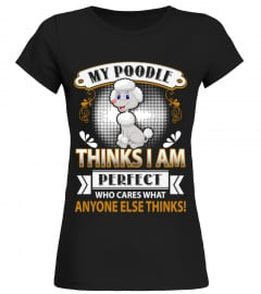 Poodle Thinks Perfect