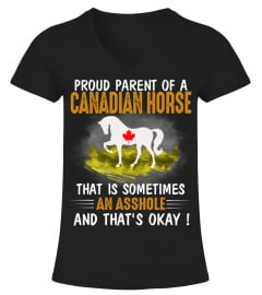 Proud parent of a canadian horse