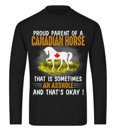 Proud parent of a canadian horse