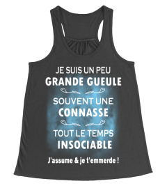 Je Suis Un Peu Grande Gueule Souvent Une Connasse Tout Le Temps Insociable J'assume &amp; Je T'emmerde