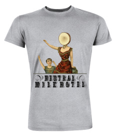M500-376-GR. Neutral Milk Hotel, 'In the Aeroplane Over the Sea'