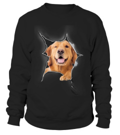 Golden Retriever 3D