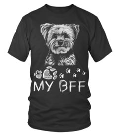 Lhasa Apso BFF