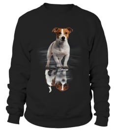 Jack Russell Terrier