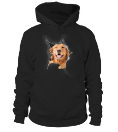 Golden Retriever 3D