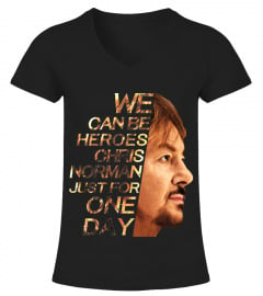 WE CAN BE HEROES CHRIS NORMAN JUST FOR ONE DAY