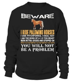 I Ride My Palomino Horse