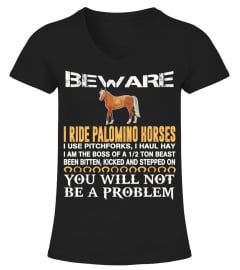 I Ride My Palomino Horse