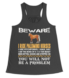 I Ride My Palomino Horse