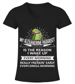 My Alexandrine parakeet is the reason I wake up