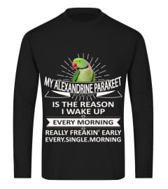 My Alexandrine parakeet is the reason I wake up